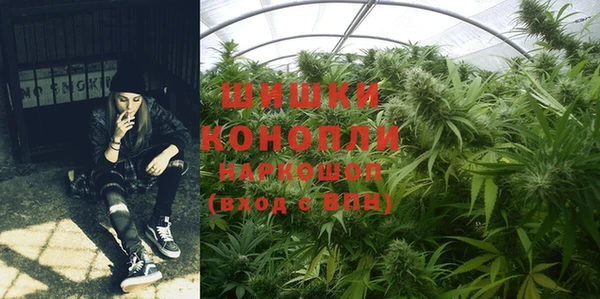 прущий лед Лагань