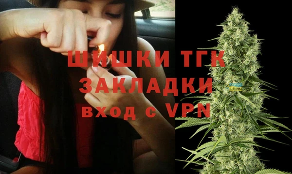стафф Ладушкин
