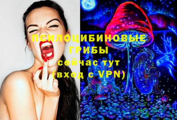 прущий лед Лагань