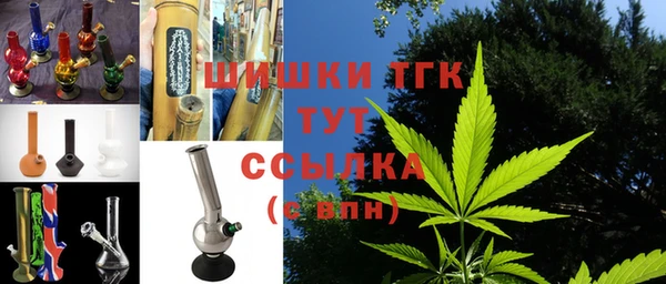 стафф Ладушкин